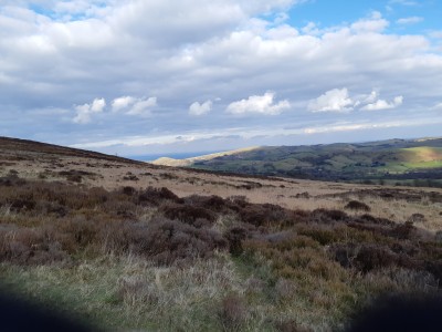 Shelve Holidays - Out & About - 1