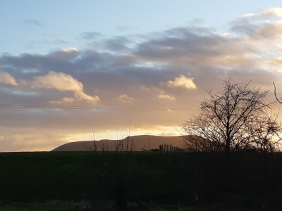 Shelve Holidays - Out & About - 4