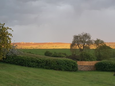 Shelve Holidays - Out & About - 5