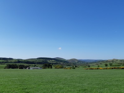 Shelve Holidays - Out & About - 7