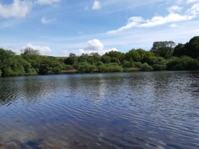 Shelve Holidays - Out & About - 8