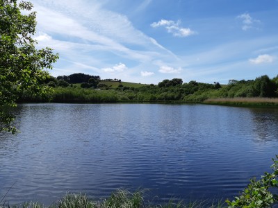 Shelve Holidays - Out & About - 9