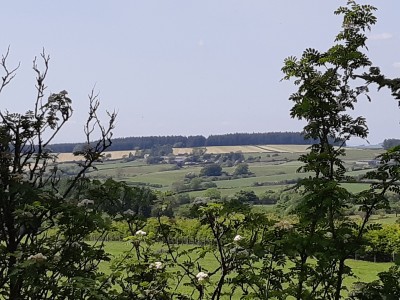 Shelve Holidays - Out & About - 10