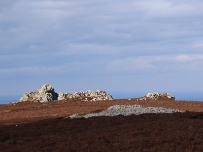 Shelve Holidays - Out & About - 11