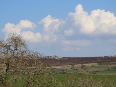 Shelve Holidays - Out & About - 12