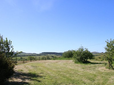 Shelve Holidays - Out & About - 13