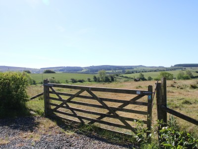 Shelve Holidays - Out & About - 14