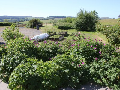 Shelve Holidays - Stiperstones View - 4